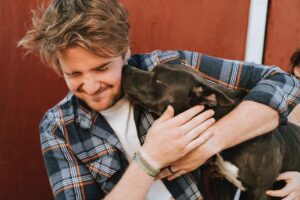 Hundeforsikring » Se hvad koster og find den bedste 2019